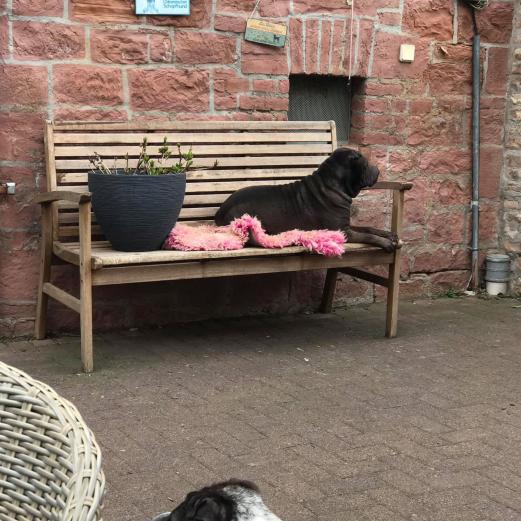 Unser Hof in Altenstadt