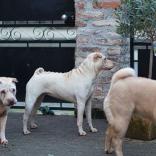 Mathilda und Holly und LeeLoo