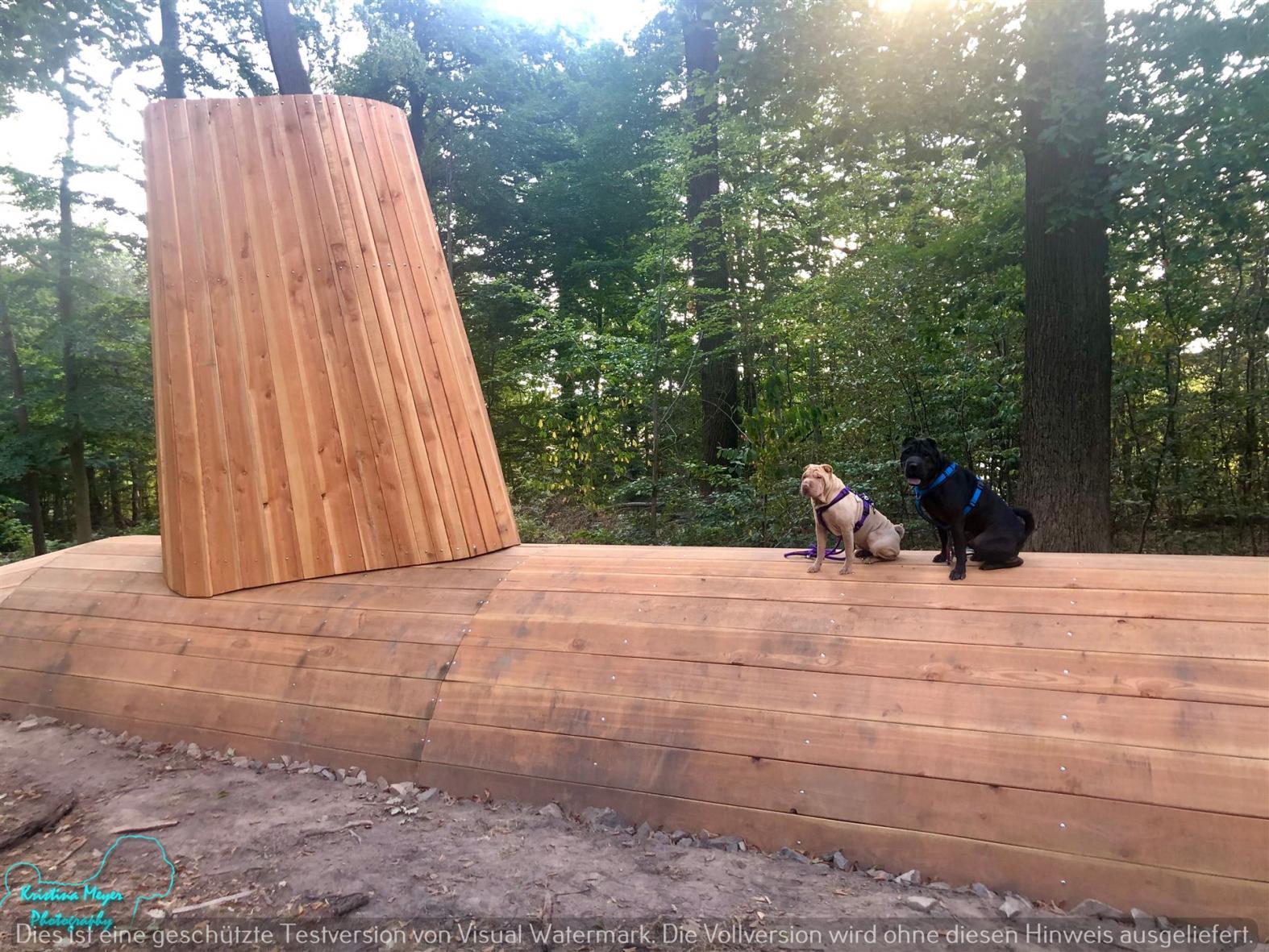 Obedience - Sitz und Bleib