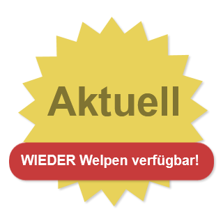 Aktuell
