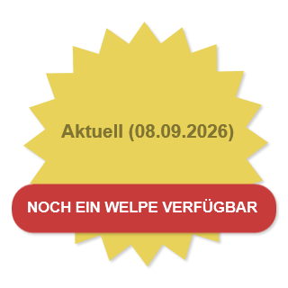 Aktuell (08.09.2026)